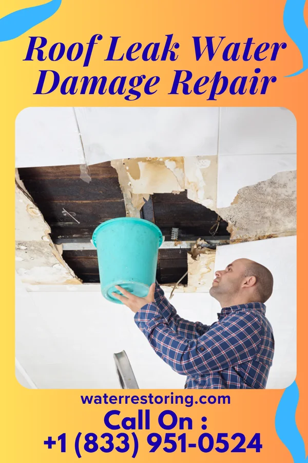 Roof Leak Water Damage Repair in Blountsville, IN