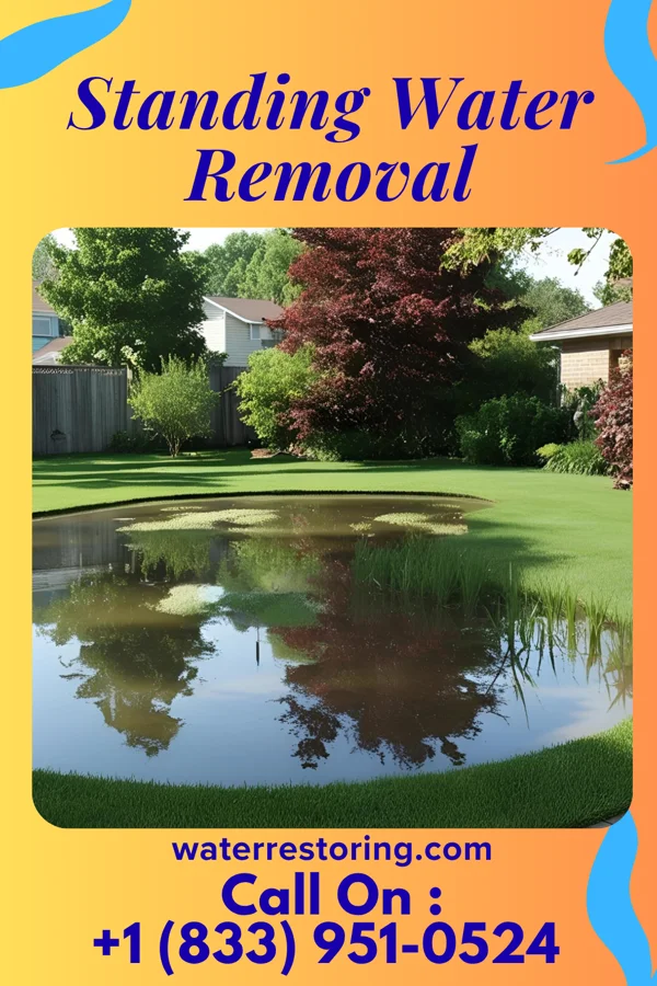 Standing Water Removal in Blountsville, IN